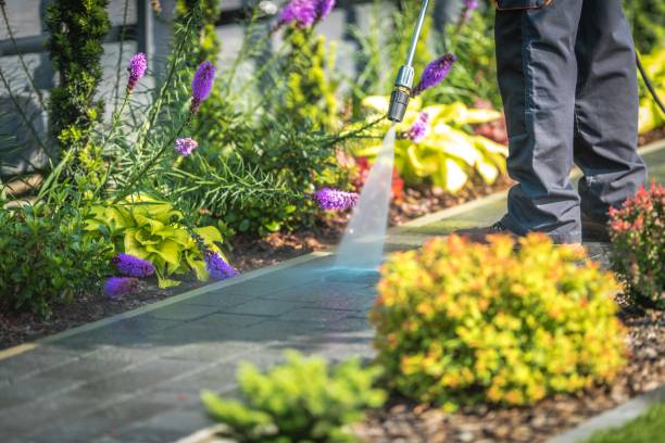 Best Parking Lot and Garage Cleaning  in Magnolia, TX