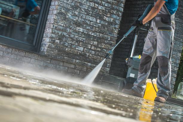 Best Solar Panel Cleaning  in Magnolia, TX
