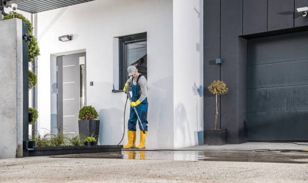 Best Animal Enclosure Cleaning  in Magnolia, TX